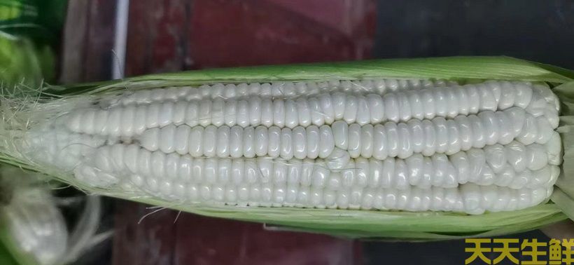 ũƷ͸㣬׵ƷЩ(ͼ3)